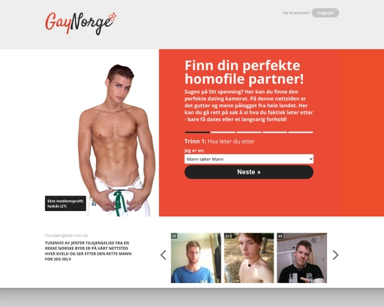 Gay Norge Logo