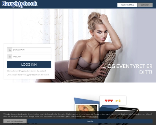 NaughtyBook Logo