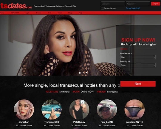 TsDates Logo