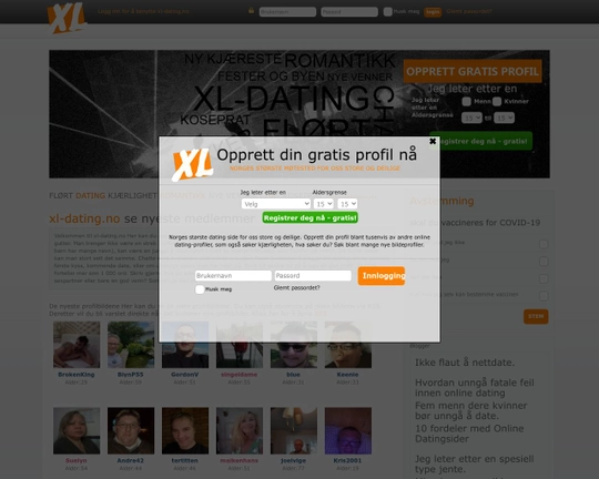 XL-Dating Logo